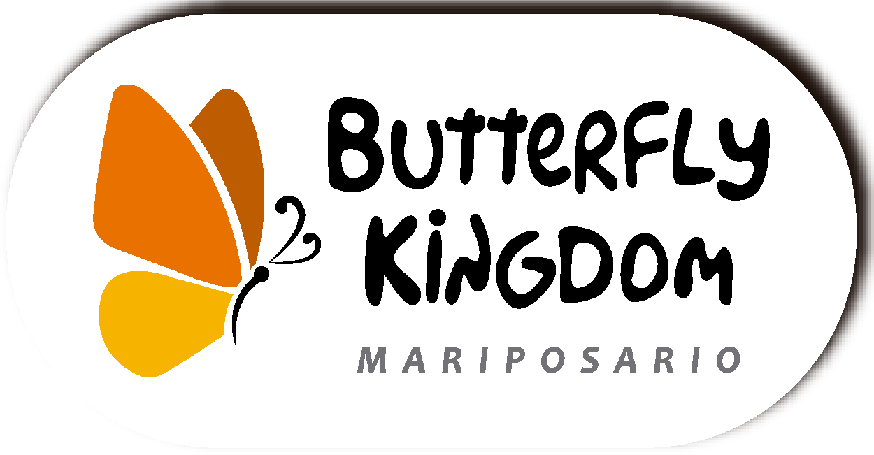 Talento Importado - Mariposario Butterfly Kingdom Costa Rica